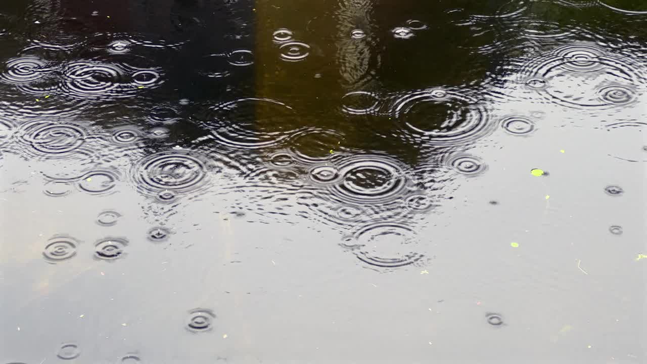 雨天平静水面上的雨滴视频素材