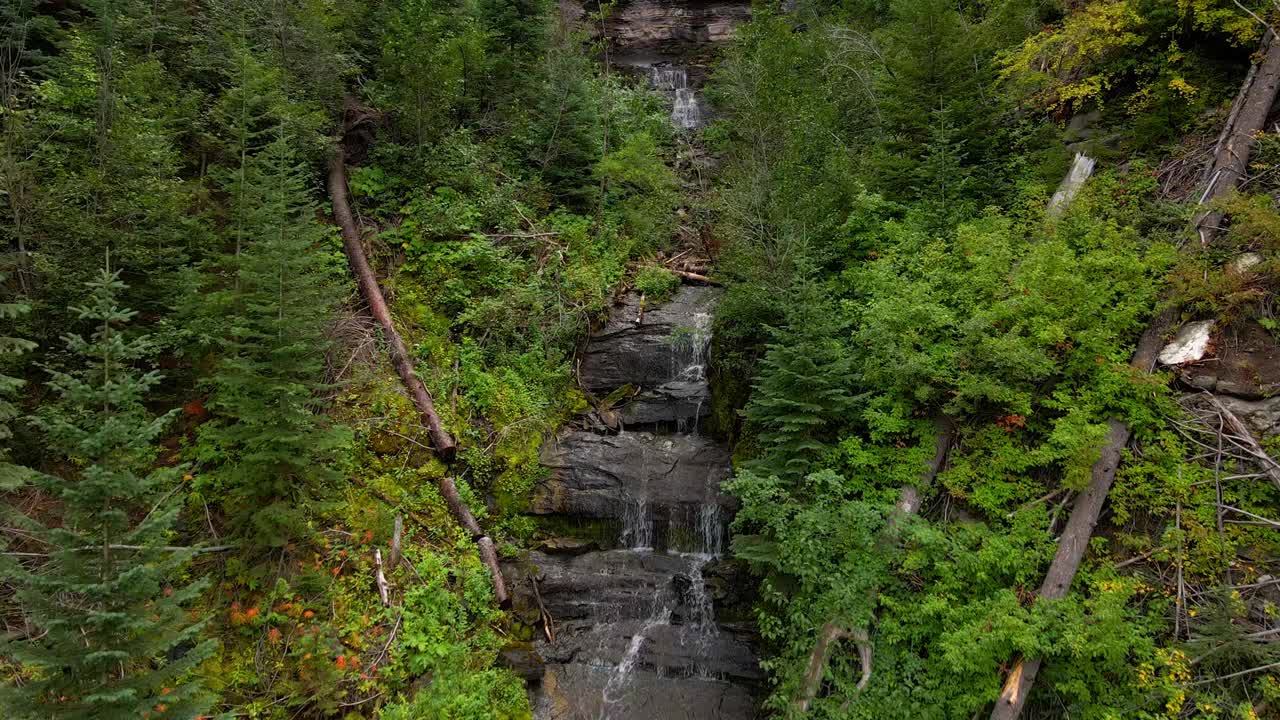 无人机拍摄的瀑布在绿色的森林中间视频素材