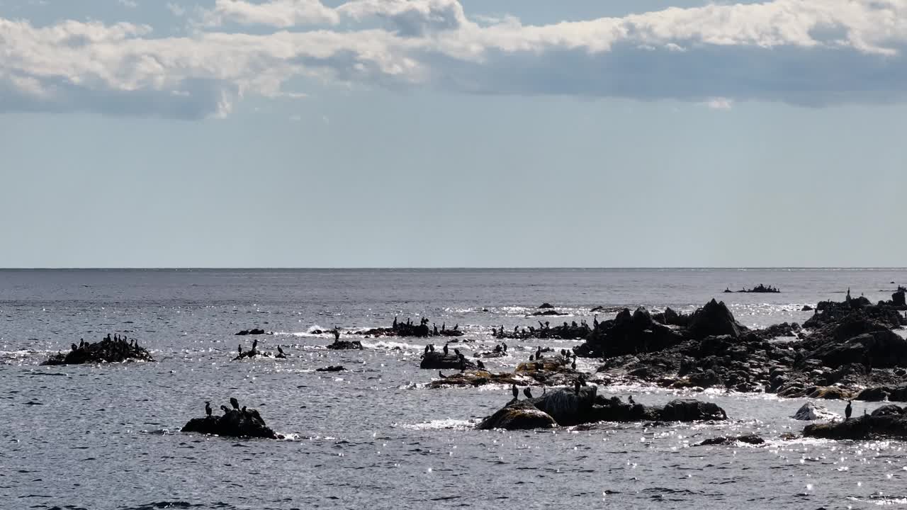 一大片水域中的岩石海岸线视频素材