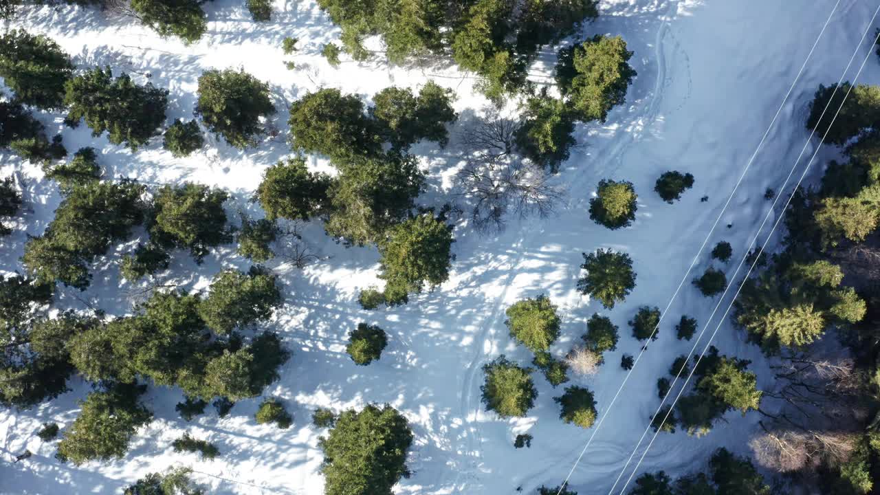 从鸟瞰图上看，冬日的松树在阳光下遮蔽着积雪的道路视频素材