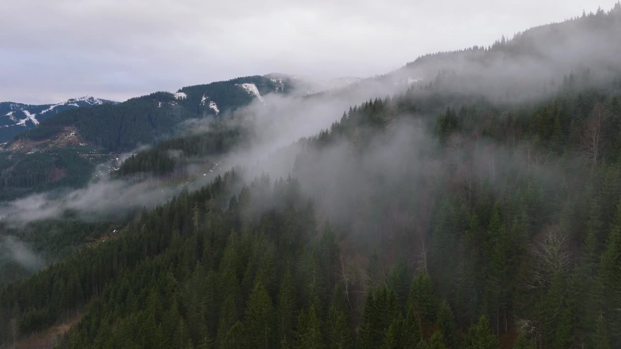 奥地利萨尔巴赫-辛特格勒姆滑雪胜地山坡上的雾蒙蒙的森林，鸟瞰图视频素材