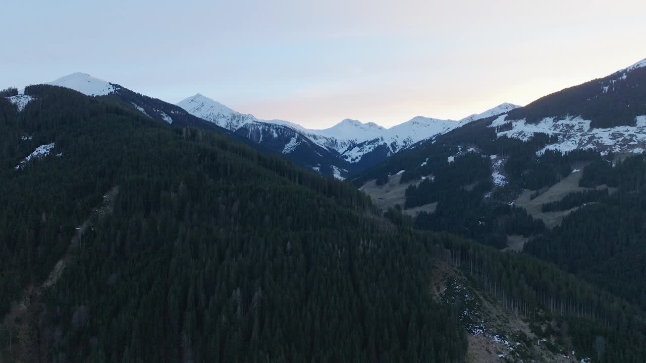 黄昏时，白雪覆盖的山峰耸立在萨尔巴赫-辛特格勒姆(奥地利)郁郁葱葱的松林之上视频素材