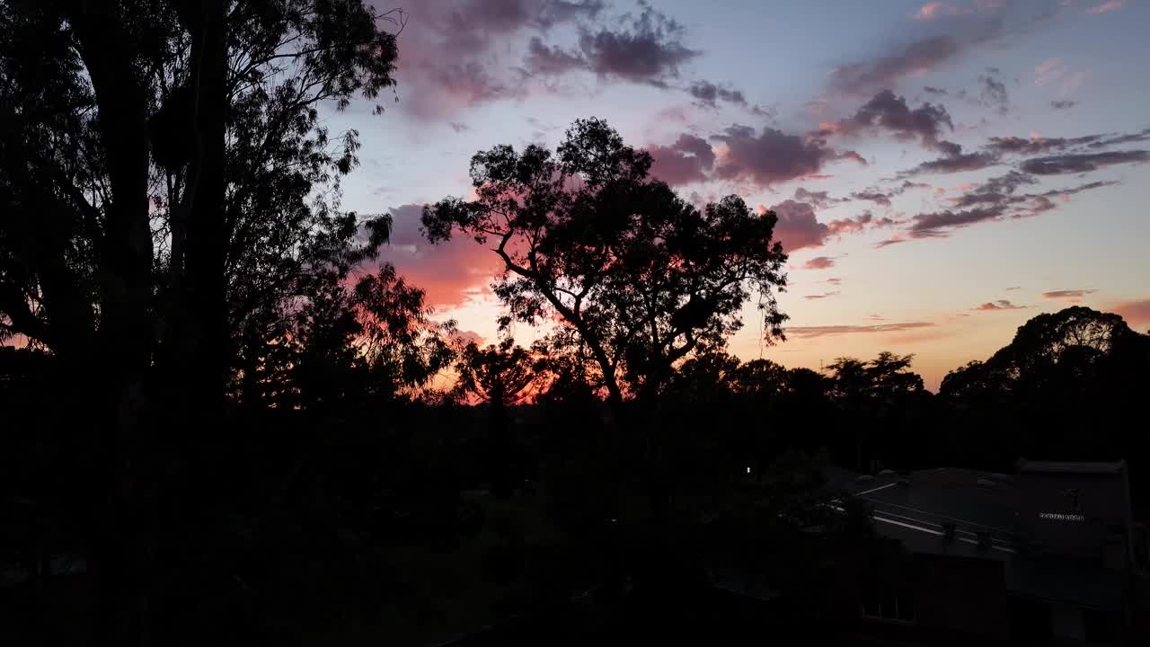 夕阳带着红晕。树木的剪影和安静的风景为夜晚做好了准备。低空飞行的无人机散发出浪漫的气息视频素材