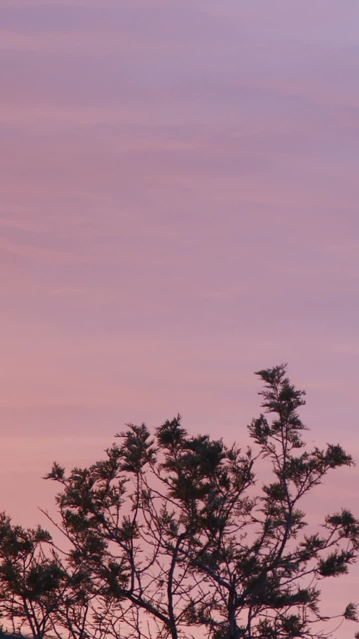 时间流逝美丽的蓝天与云的背景。天空的云。社交媒体的垂直视频。视频素材