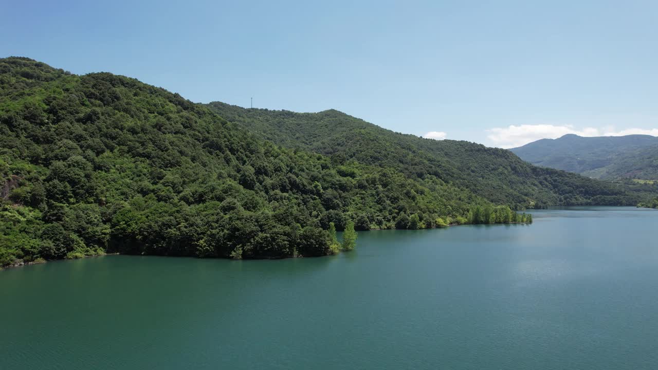 森林和湖岸视频下载