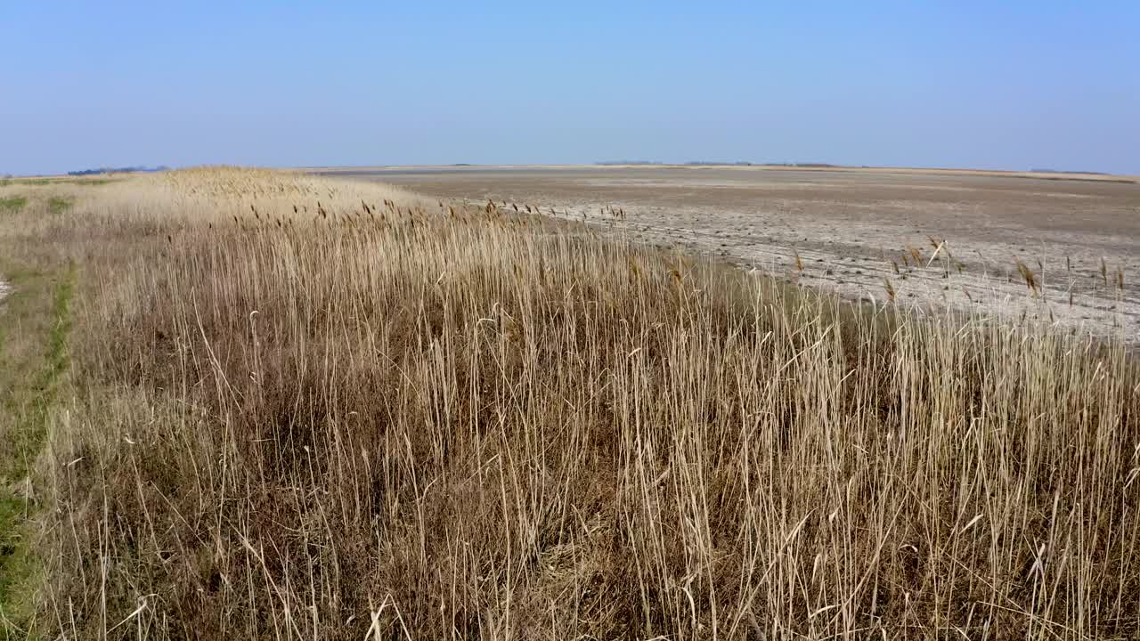 夏天，无人驾驶飞机飞过覆盖着盐和干芦苇和草的潮湿土地视频素材