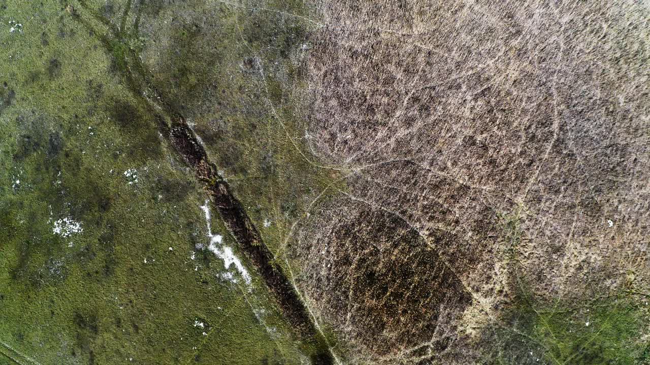 在自然保护区，无人机降落到干燥的咸水土地上，长满了绿草视频素材