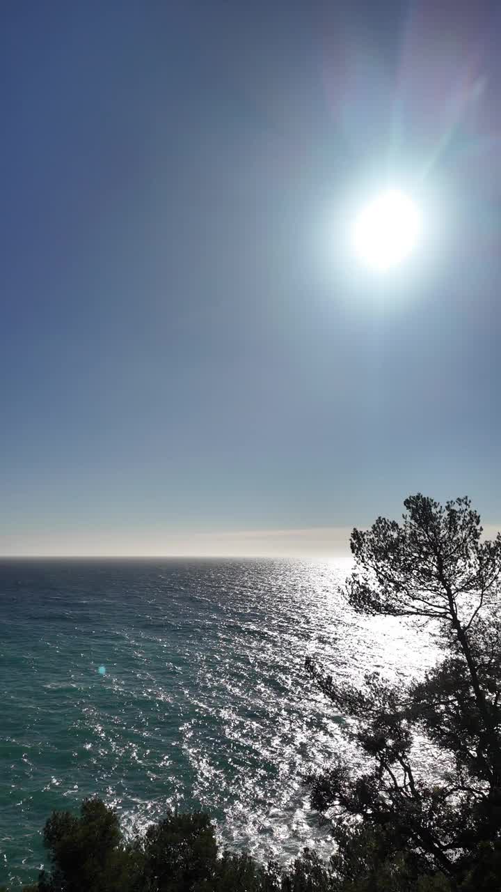 垂直视频海景与树，明亮的太阳和反射在水面上，2K视频素材