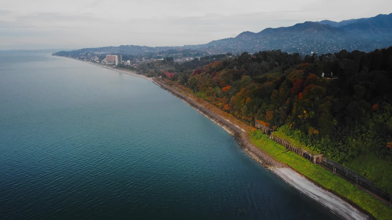 格鲁吉亚植物园所在的黑海长岸边的无人机风景视频素材