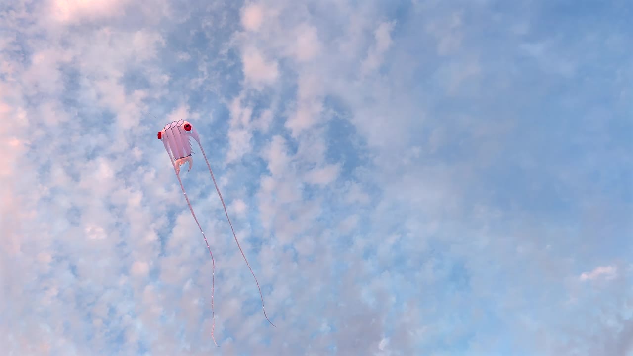 在夕阳的天空中放飞可爱的风筝视频下载