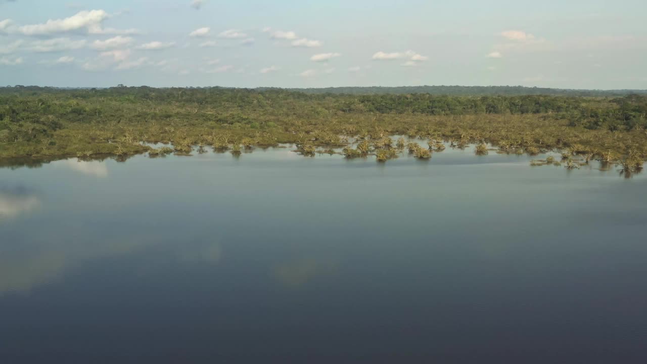 厄瓜多尔的亚马逊国家保护区Cuyabeno，有湖泊和池塘的湿地，有水虎鱼、海豚、开曼鱼、蛇和鸟的河流，鸟瞰景观，绿色森林。河流自然保护区视频下载