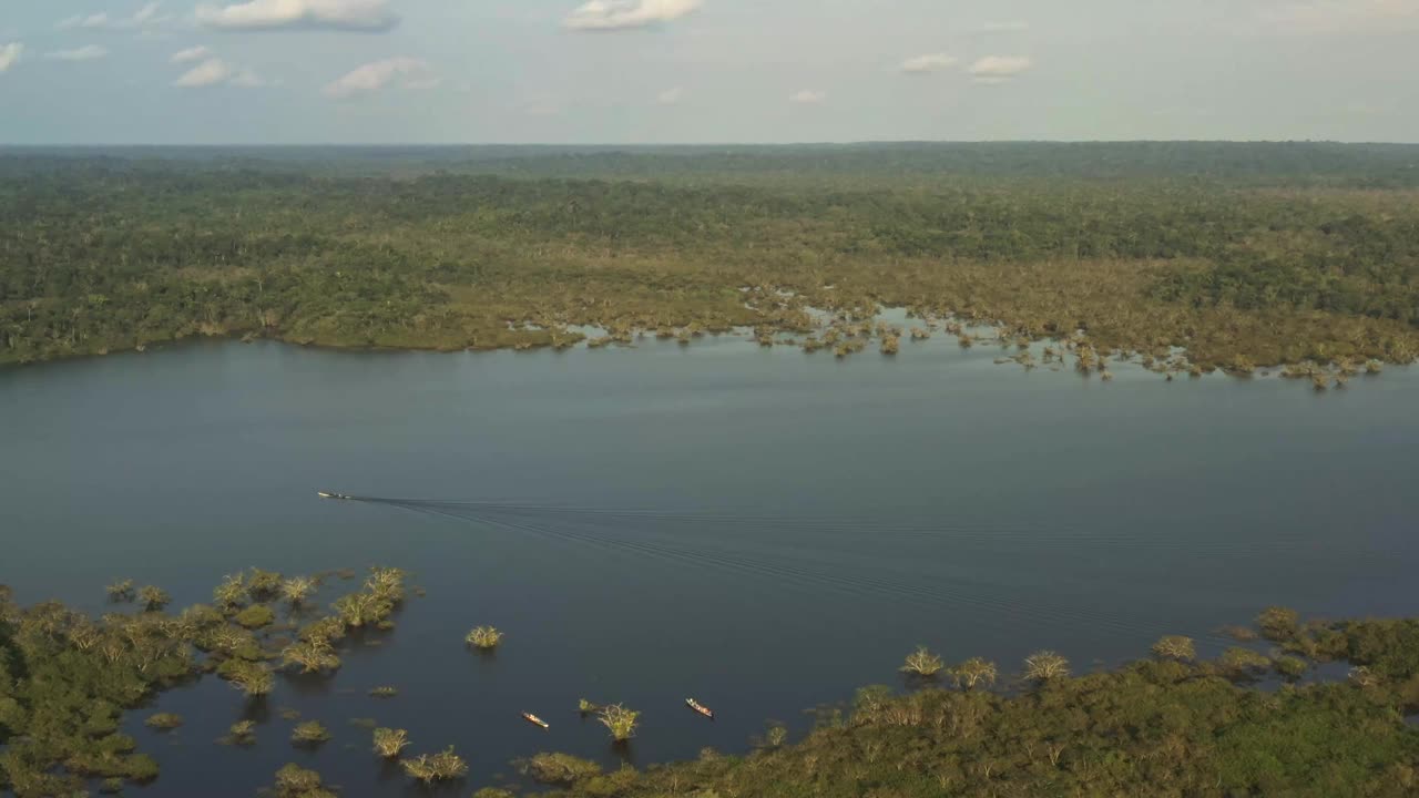 厄瓜多尔的亚马逊国家保护区Cuyabeno，有湖泊和池塘的湿地，有水虎鱼、海豚、开曼鱼、蛇和鸟的河流，鸟瞰景观，绿色森林。河流自然保护区视频下载