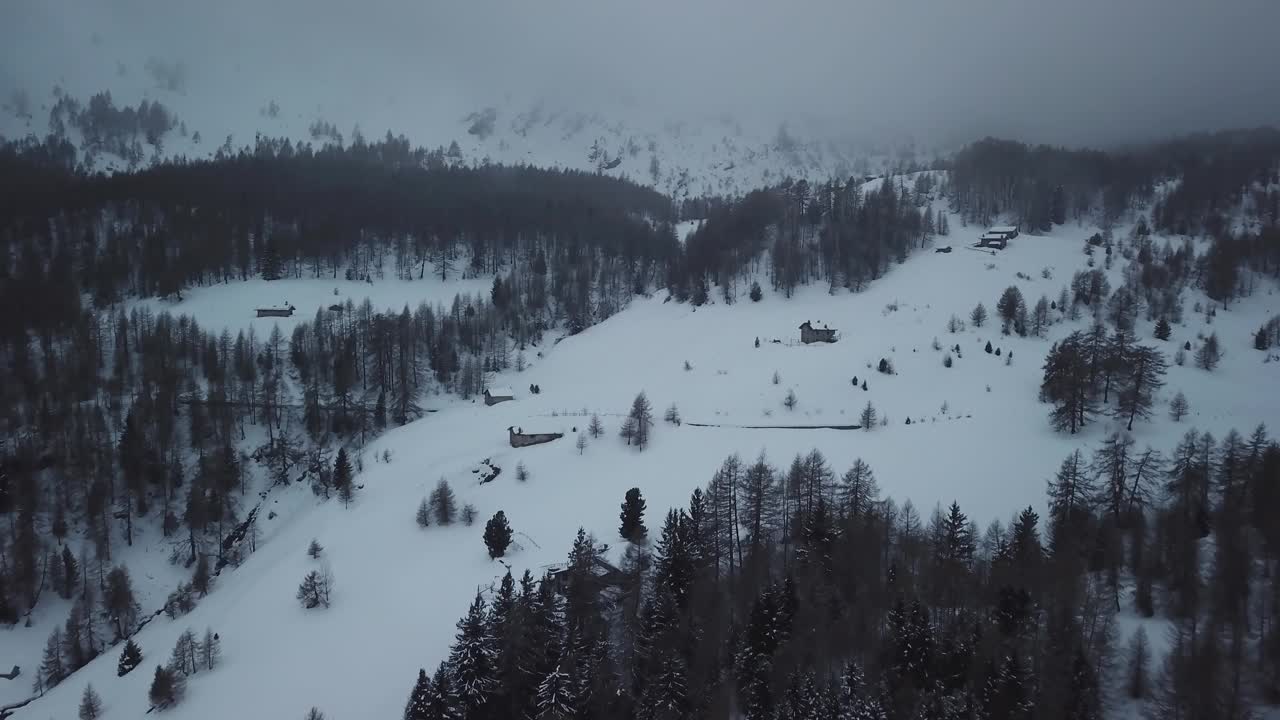 空中无人机拍摄的雪山景观。飞过冰冻的松林。粗糙的霜冻天性。戏剧性的雾天。令人惊叹的冬季全景。视频素材