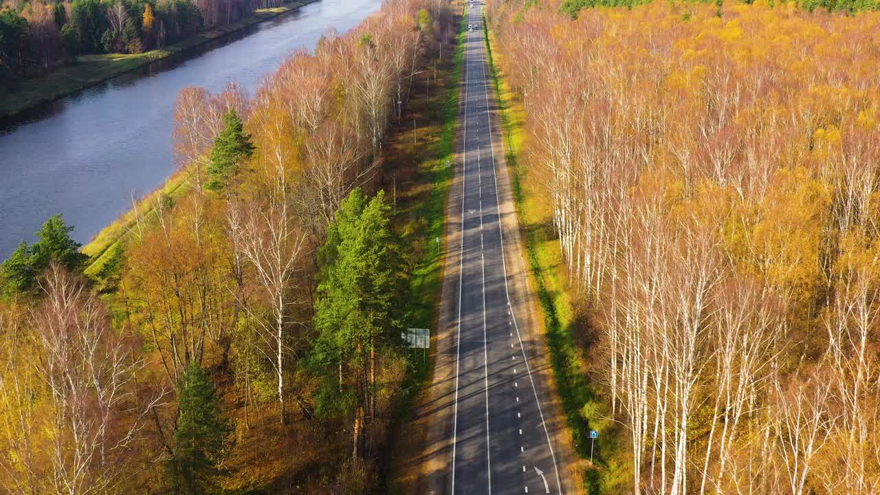 高视角的道路，穿过秋天的森林与复制空间。视频素材