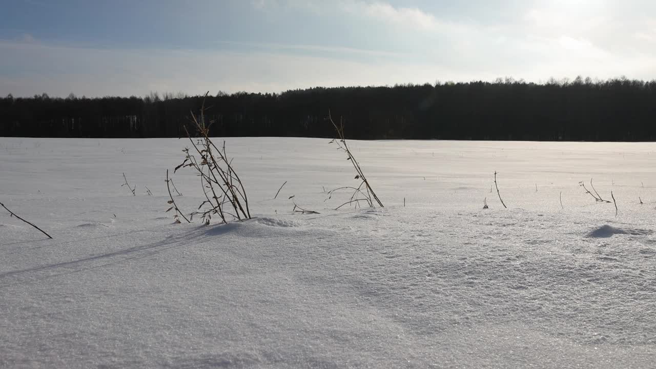 晴朗的天气下完一场美丽的新雪视频素材