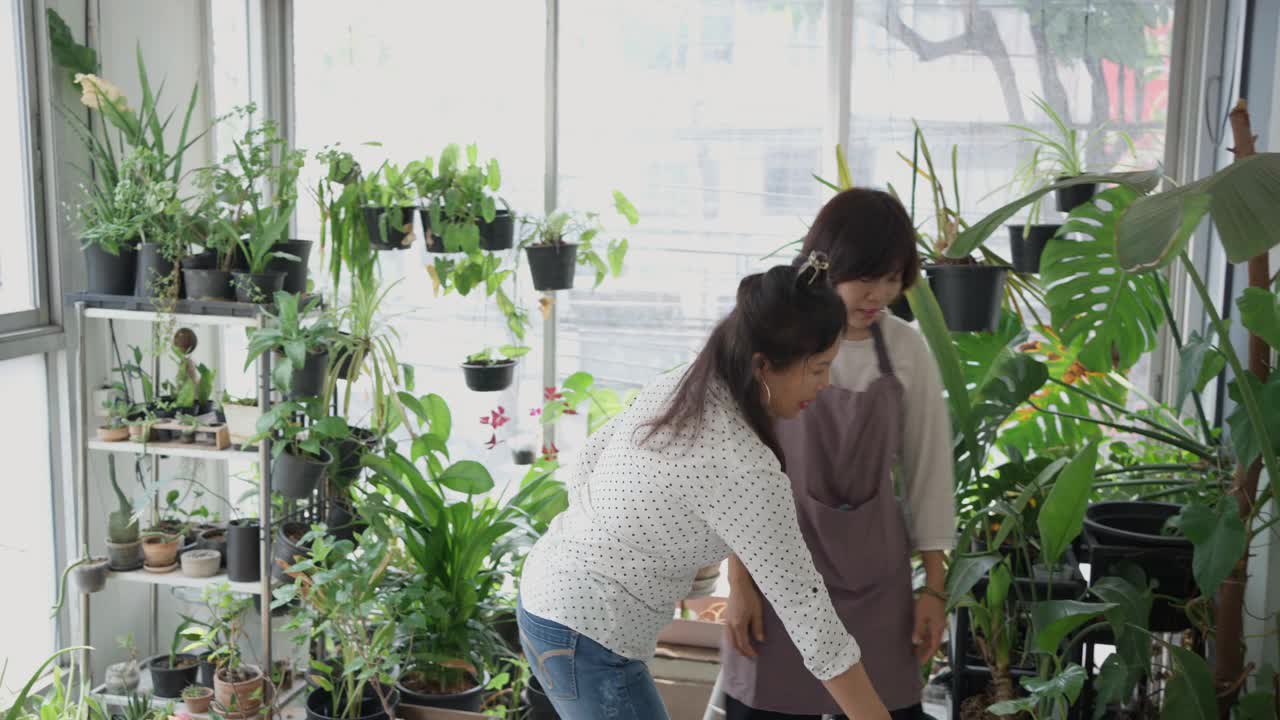 一位植物店老板在店里帮助一位顾客视频素材