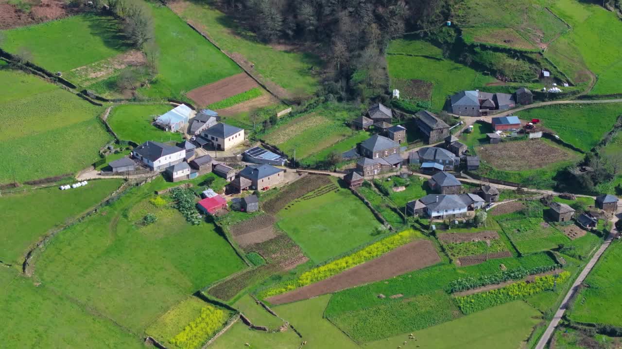 西班牙，卢戈，Fonsagrada，西班牙村庄的田野上的房子。空中回射视频素材