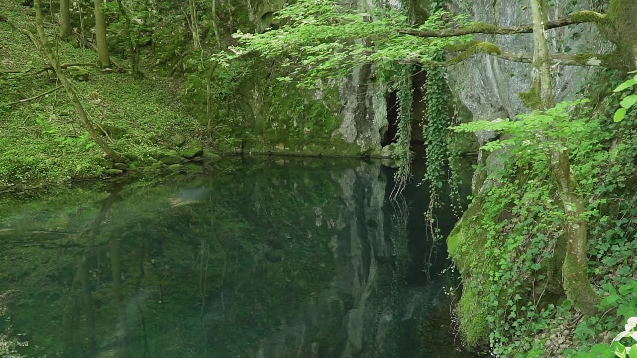 洞穴入口隐藏在郁郁葱葱的绿色植被中，上面是美丽的湖泊视频素材