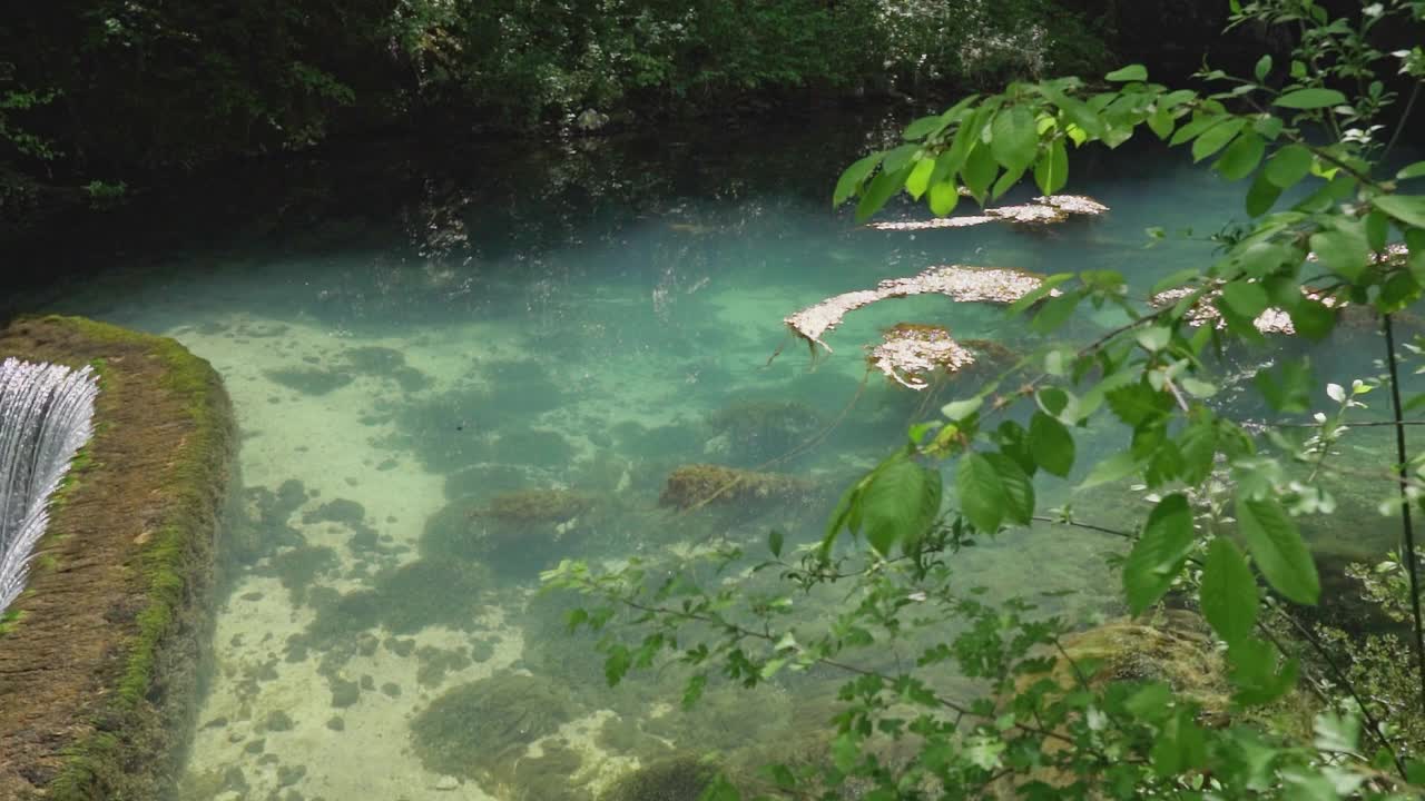 梦幻般的镜头捕捉到森林中清澈的克鲁帕伊斯科湖视频素材