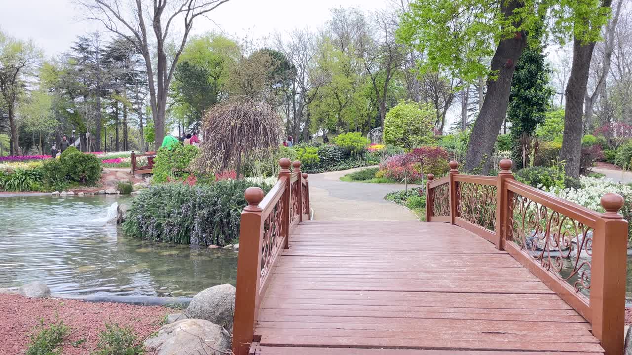 现在是伊斯坦布尔的郁金香季节。郁金香节在四月和春天的埃米尔林举行。视频素材