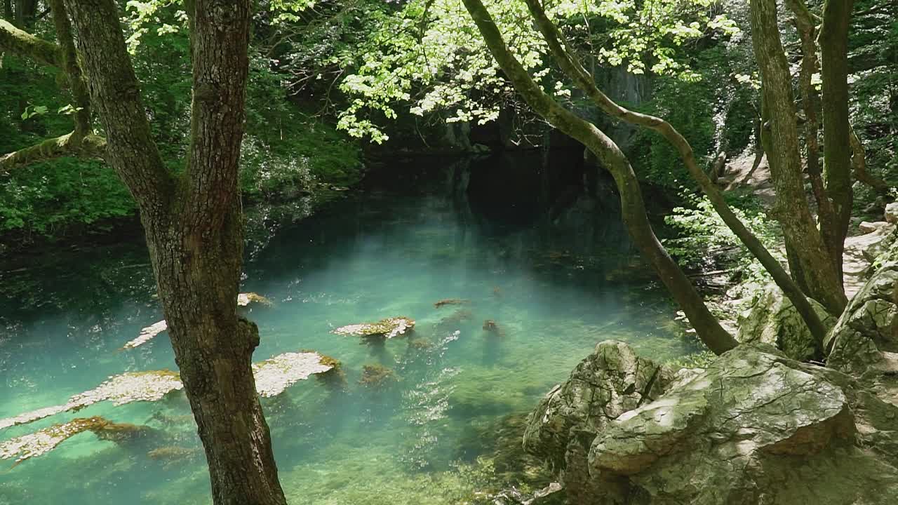 绿松石湖在树林中覆盖着水面上的水生植物视频素材