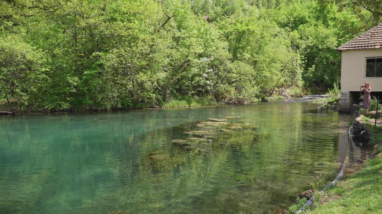 自然保护区内清澈的山间池塘视频素材