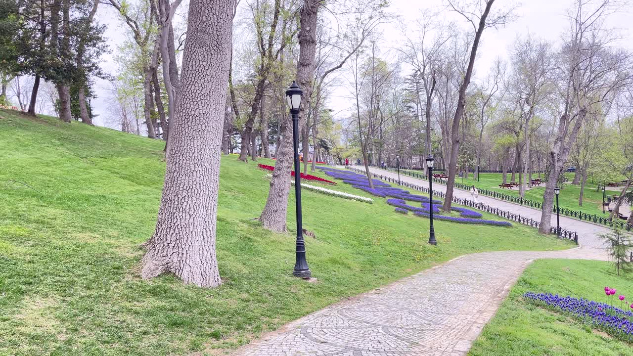 现在是伊斯坦布尔的郁金香季节。郁金香节在四月和春天的埃米尔林举行。视频下载