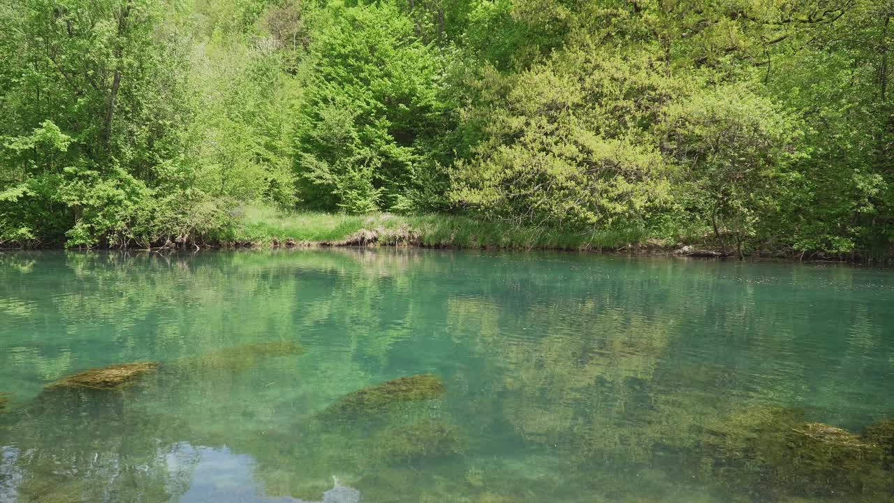 自然保护区内清澈的山间池塘视频素材