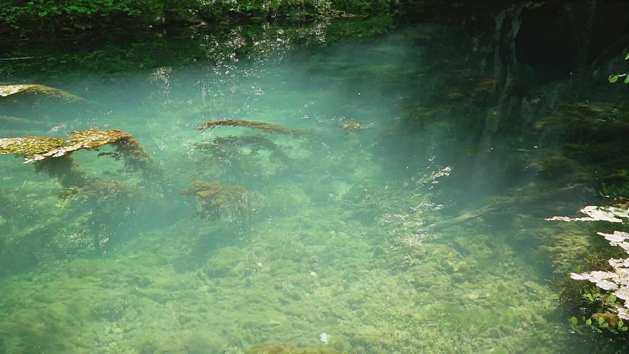 梦幻般的克鲁帕伊斯科湖，覆盖着水生植物视频素材