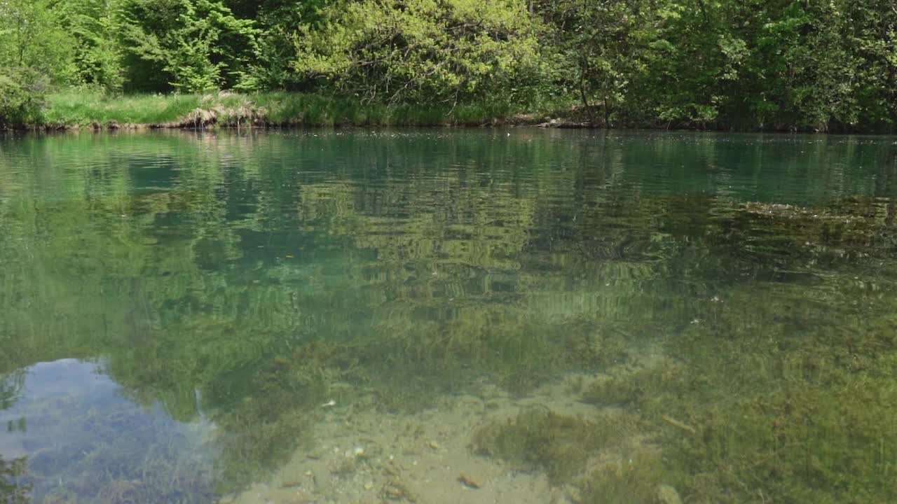 森林里潺潺的湖水，清澈得可以看到湖底视频素材