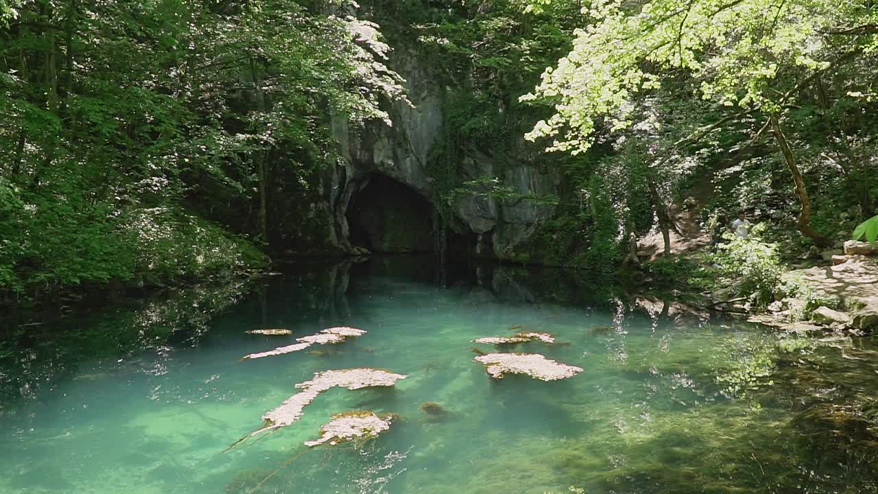 风景如画的绿松石湖和一个被绿色植被包围的石洞视频素材