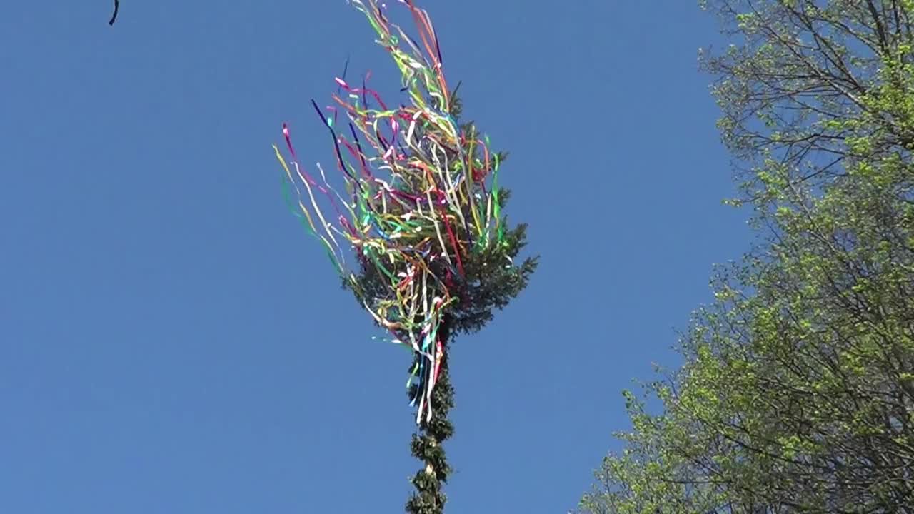 五朔节花柱，彩带飘飘，蓝天飘飘。德国传统视频下载