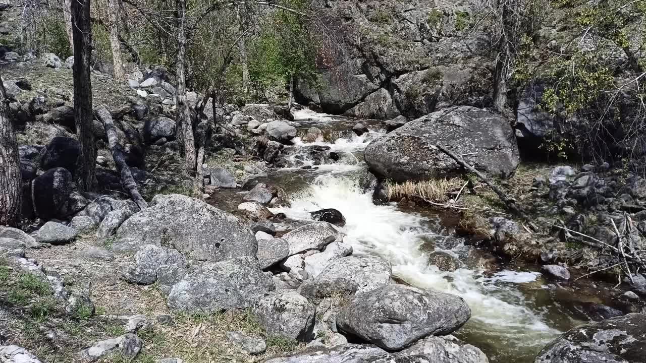 在初升的太阳的照耀下，一条暴风雨中的急流从山上流过春林。视频素材