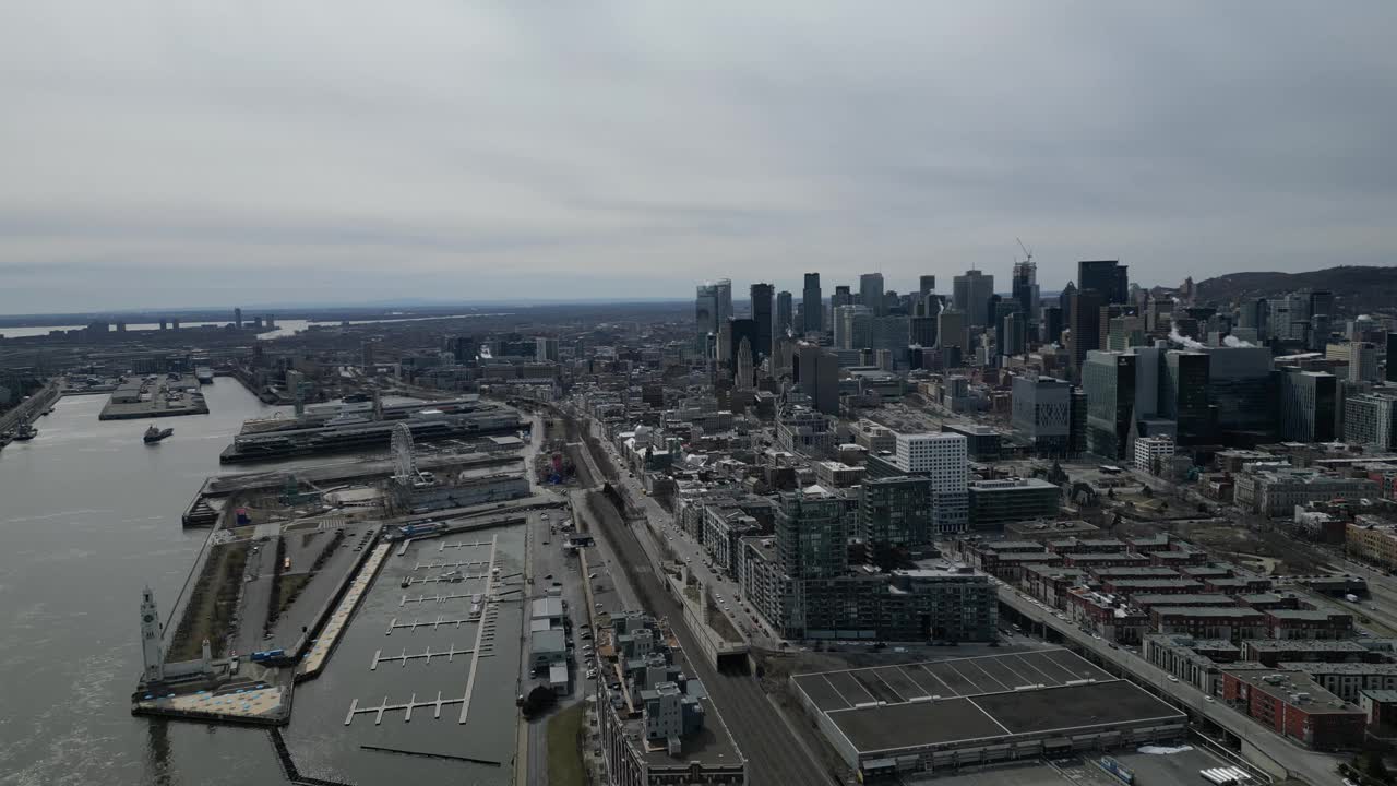 加拿大魁北克省蒙特利尔市的空中无人机从皇家山的树木上俯瞰市中心的城市景观视频下载