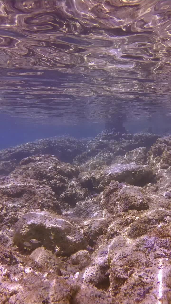 镜头向前移动到海底，在沿海地区，巨大的石头上覆盖着藻类视频素材