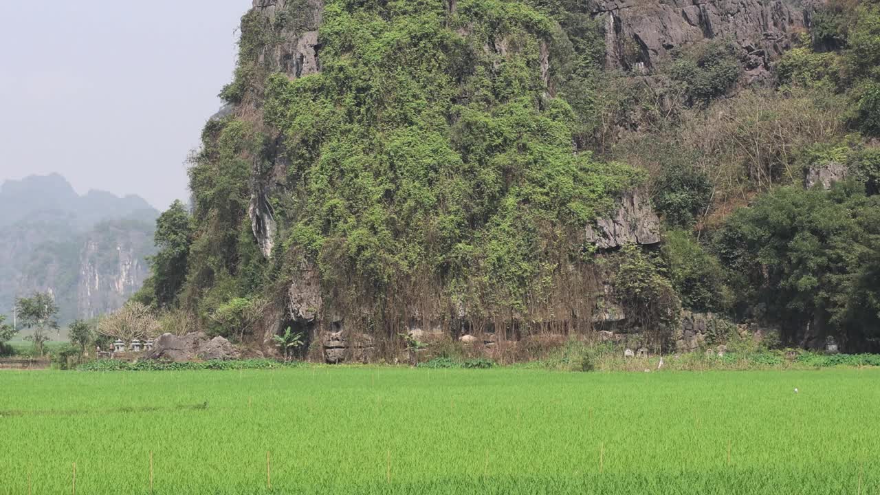 风景秀丽的石灰岩山脉视频素材