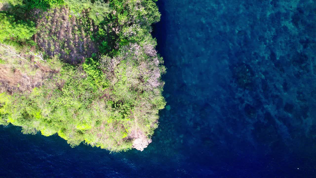 在印度尼西亚巴厘岛努沙佩尼达的森林岛屿上空飞行。空中俯视图视频素材