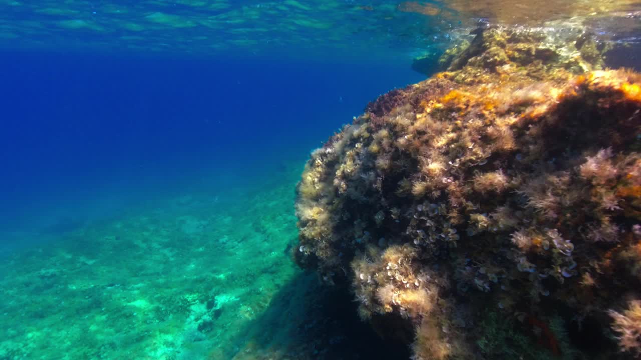 在一个阳光明媚的夏日，亚得里亚海的海底。视频素材