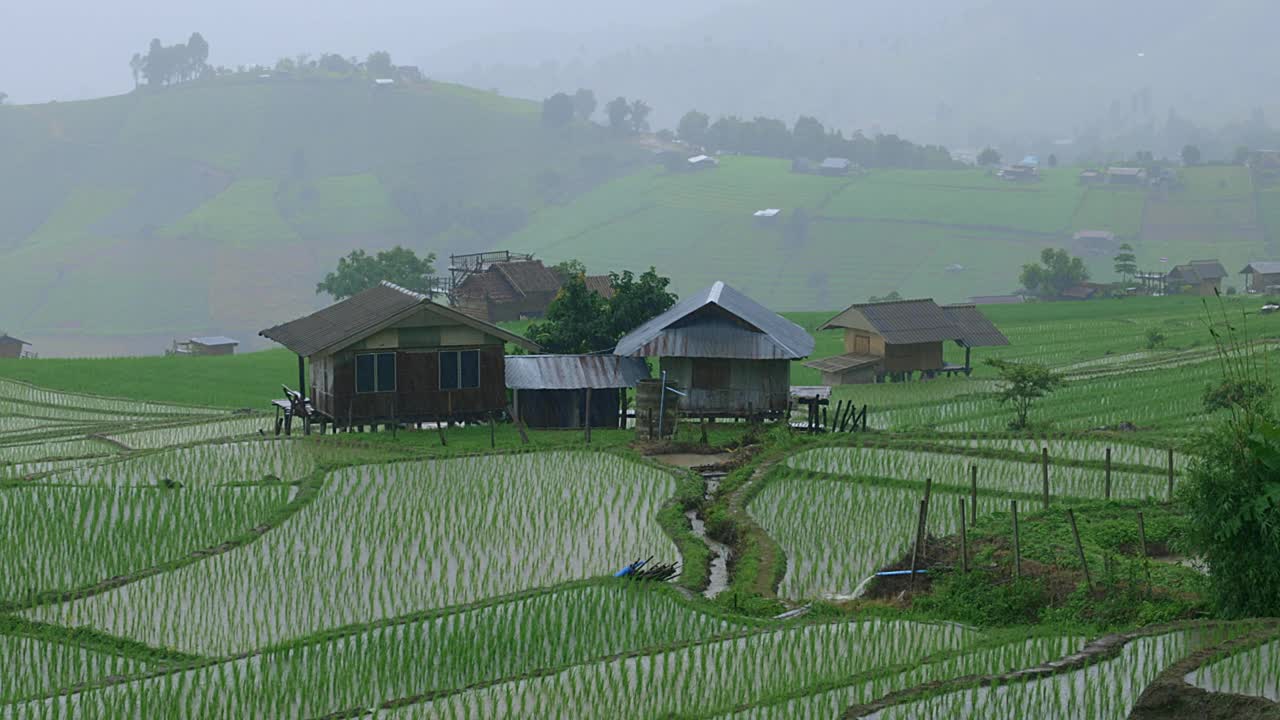 泰国清迈的帕邦坪，雨中梯田小屋的景观。视频素材