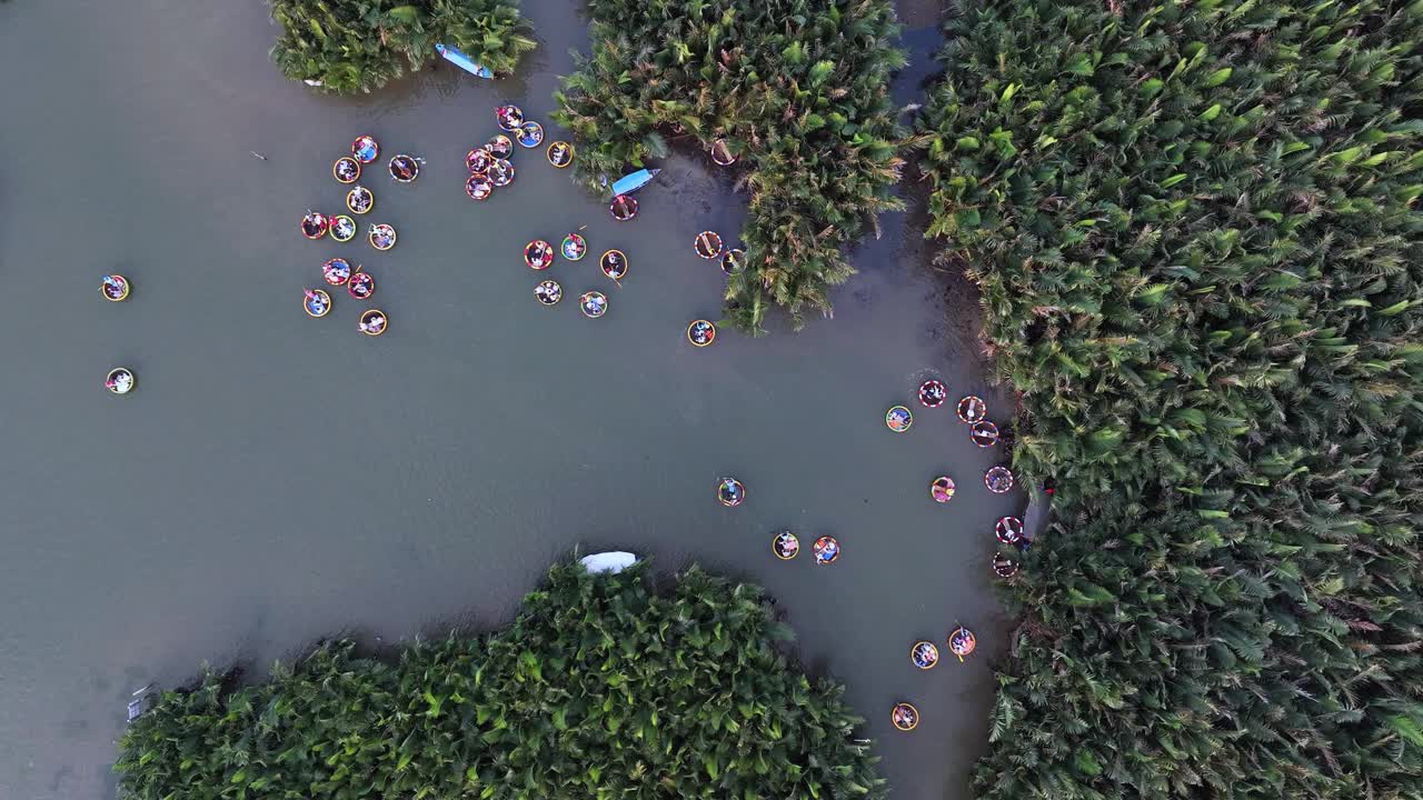 湾茂椰林鸟瞰图，湾茂椰林是会安古镇的著名景点视频素材