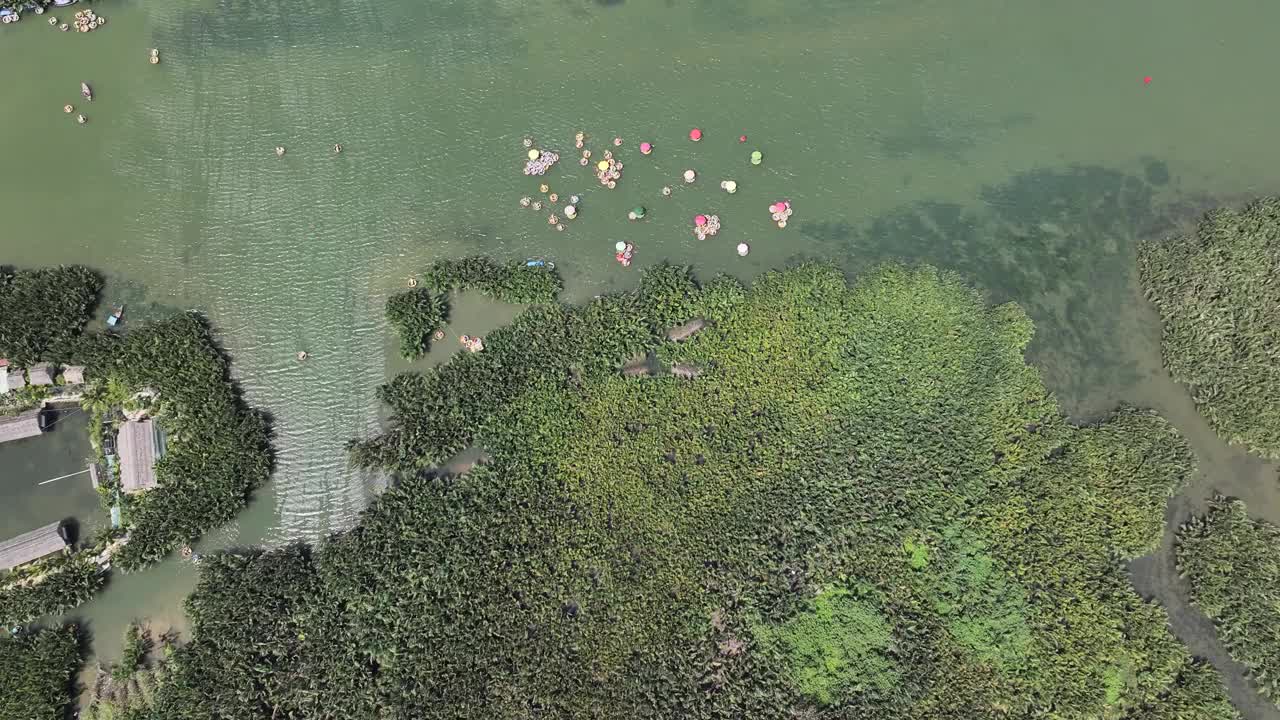 湾茂椰林鸟瞰图，湾茂椰林是会安古镇的著名景点视频素材