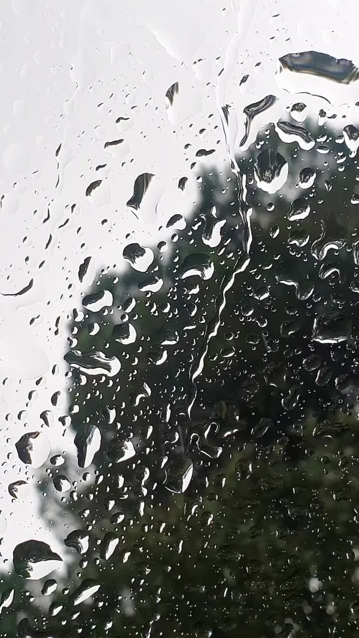 透明玻璃上雨滴的特写视频下载