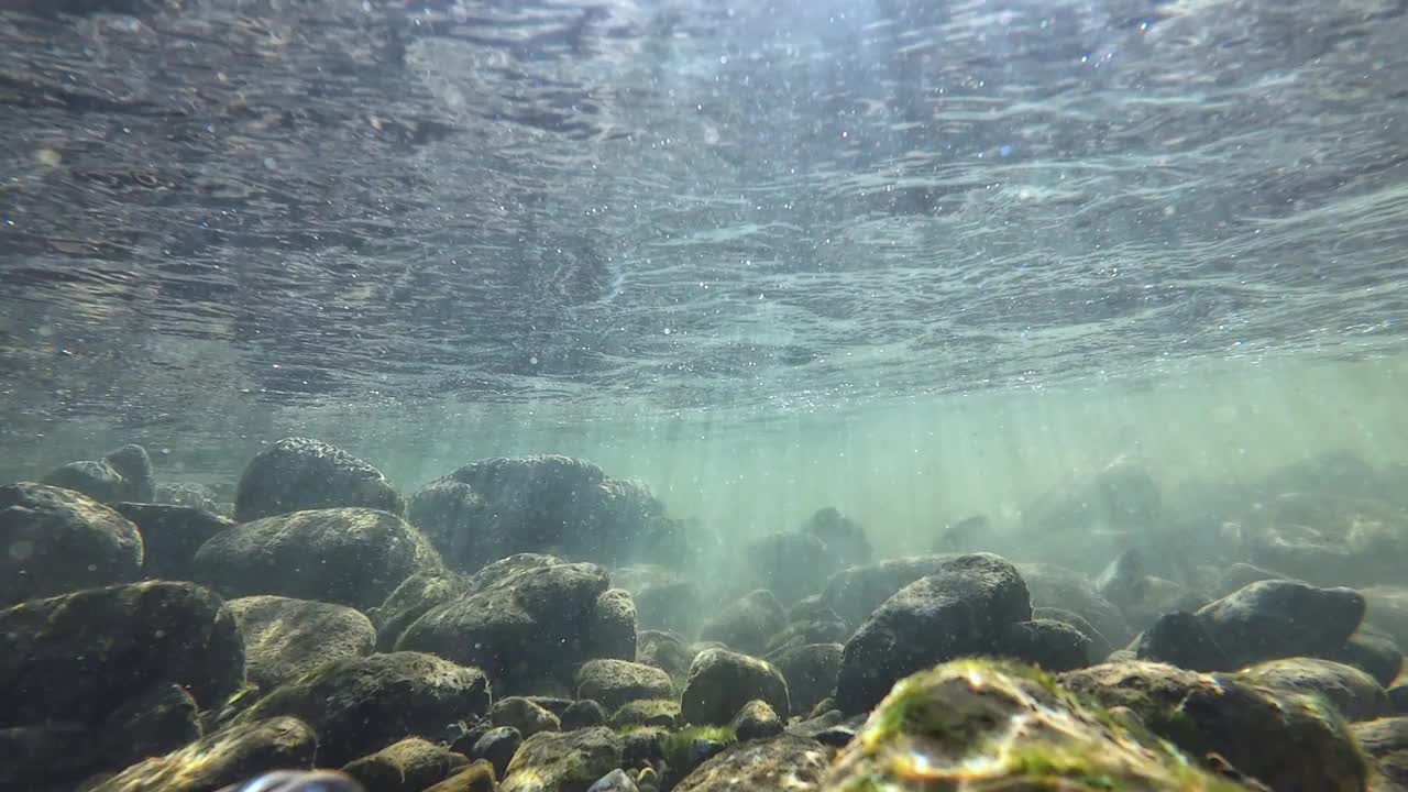 水下视频的溪流与石头和阳光在流动的水视频素材