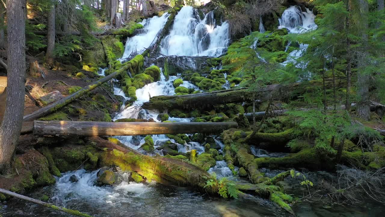 一条小溪从山坡上流下来，树上长满了青苔视频素材