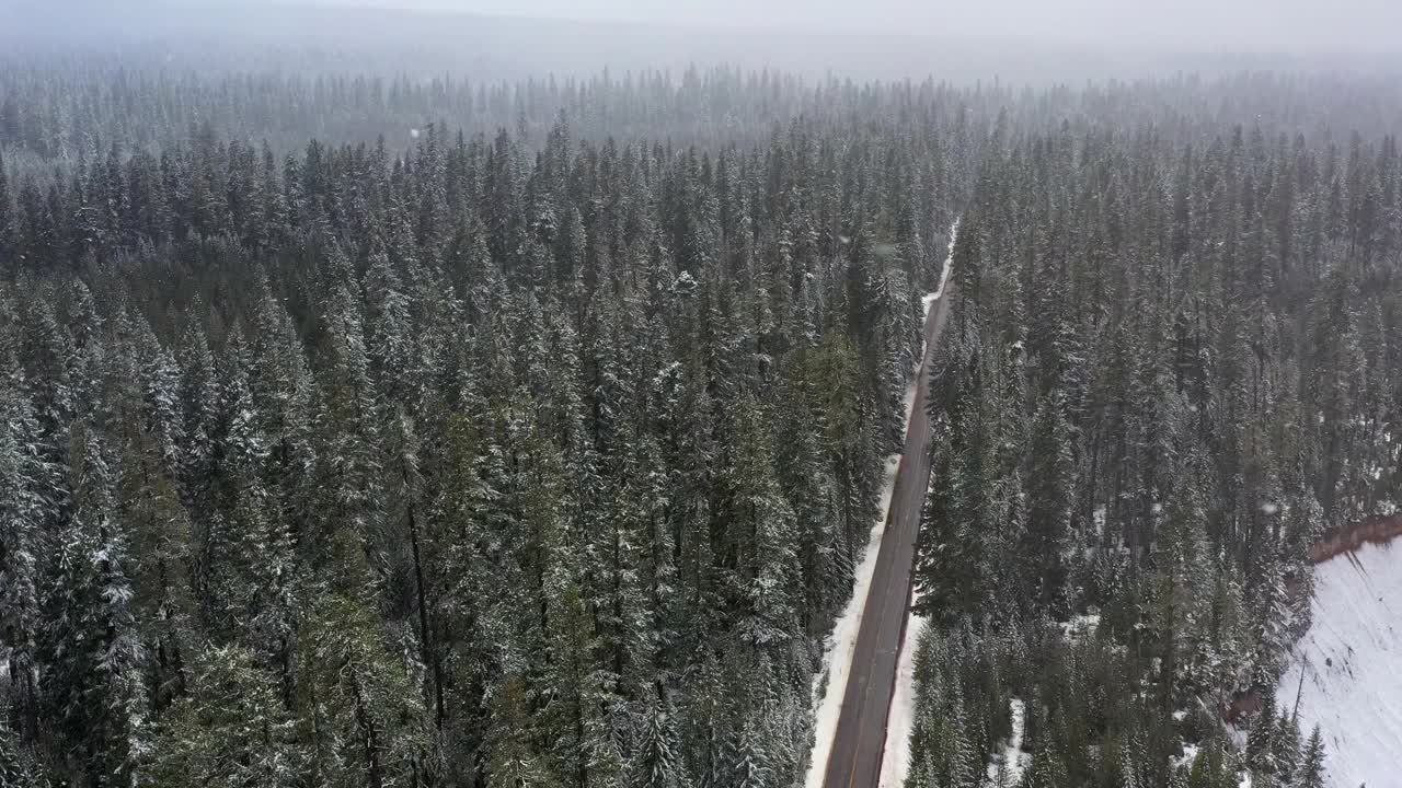 一片白雪覆盖的森林，一条公路贯穿其中视频素材