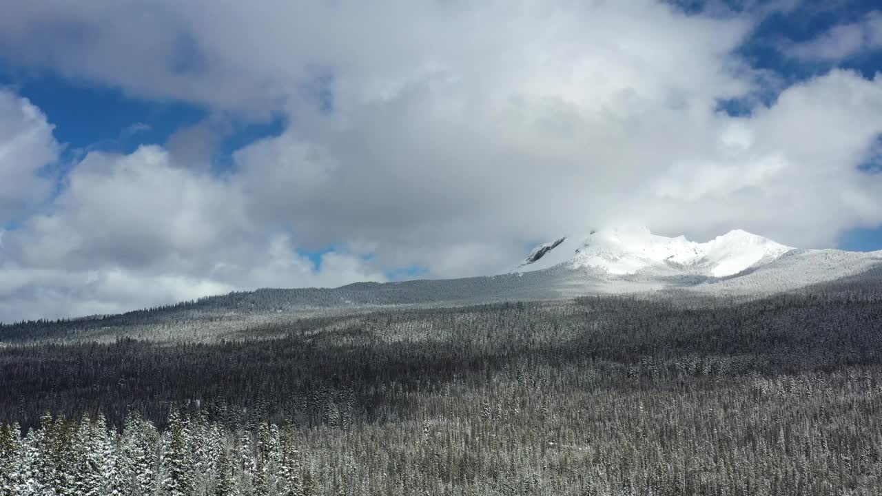 一座被雪和树木覆盖的山视频素材