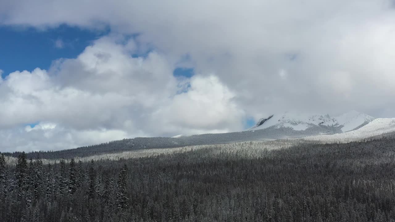 被雪和树木覆盖的山脉视频素材