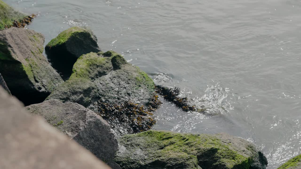 海水溅在长满苔藓的岩石上视频素材