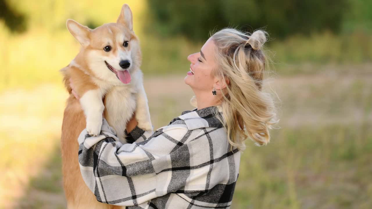 快乐的金发女子抱着，拥抱和抚摸宠物威尔士柯基犬在夏日阳光明媚的日子。对动物的爱的概念，狗和人之间的友谊，志愿服务，宠物收养。视频素材