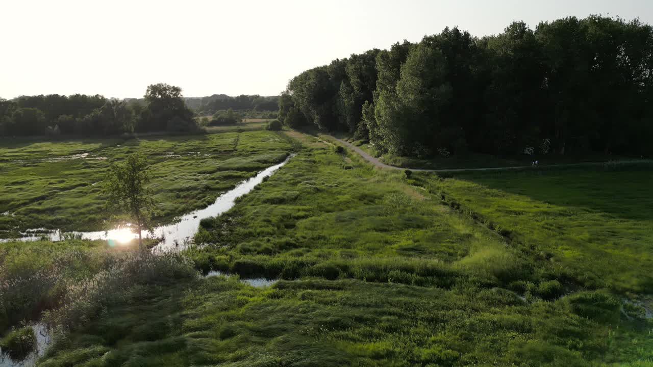 根特Bourgoyen-Ossemeersen自然保护区树木周围的圆弧天线视频素材